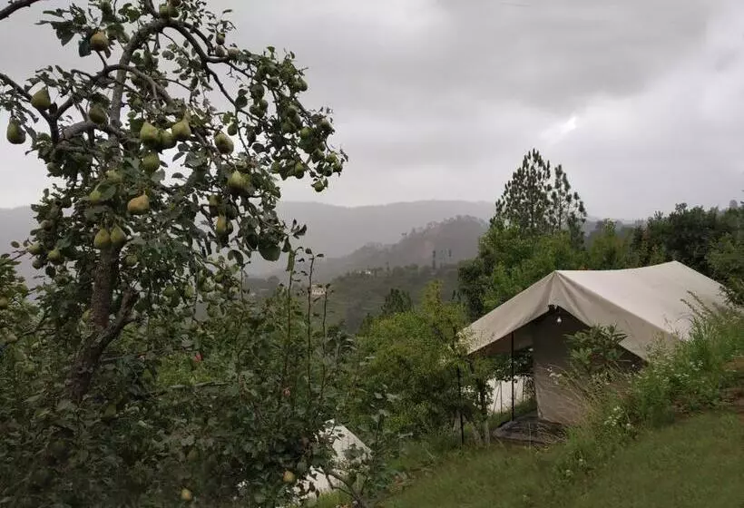 هتل Himview Camp Mukteshwar