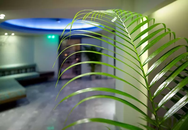 هتل Lato Annex Boutique Rooms
