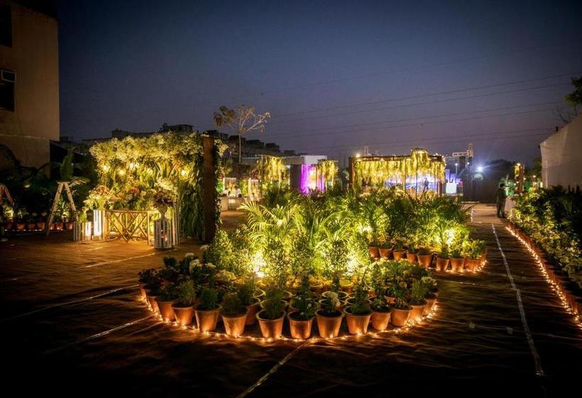 בית מלון כפרי The Royal Hills  And Resort