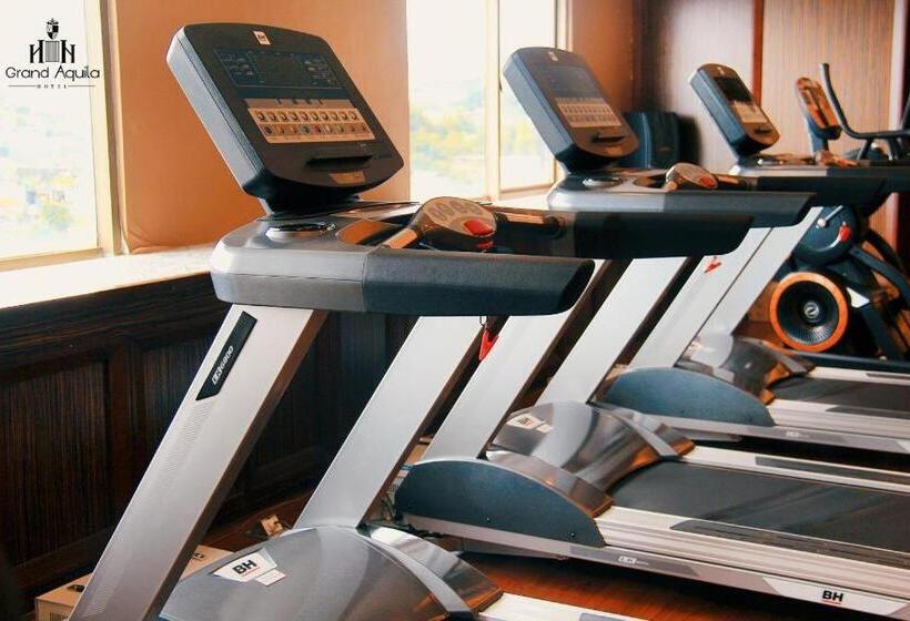 בית מלון כפרי Grand Aquila