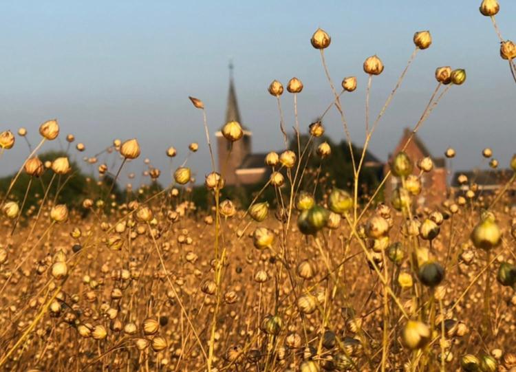בית מלון כפרי Horenbecca Bistro & Wellness