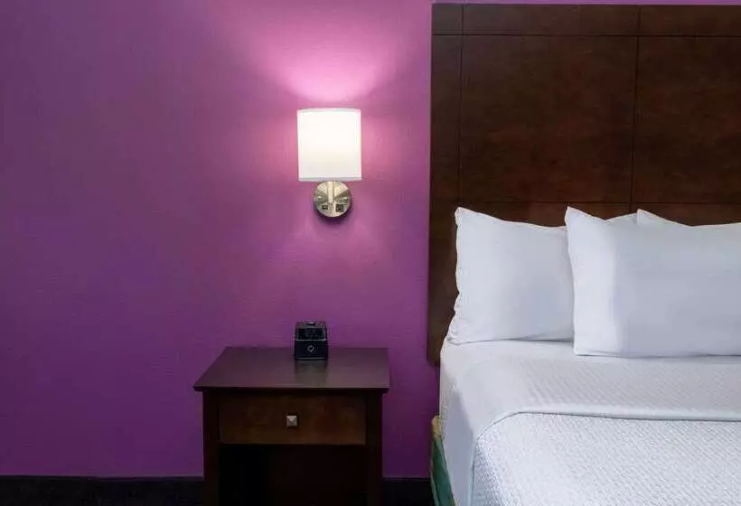 Hotel La Quinta By Wyndham Houston Nw Brookhollow