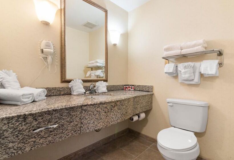 فندق Sleep Inn & Suites