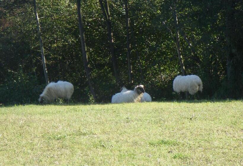 乡村酒店  Matsa B&b