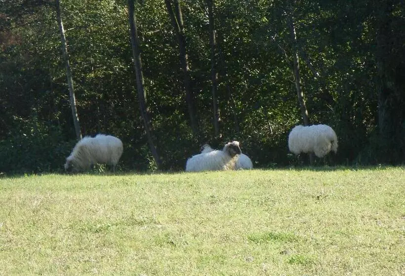 교외 호텔 Matsa B&b