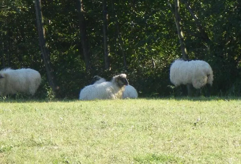 교외 호텔 Matsa B&b