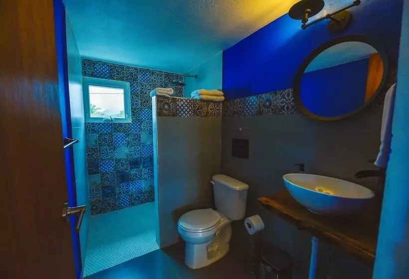 هتل The Surfing Turtle