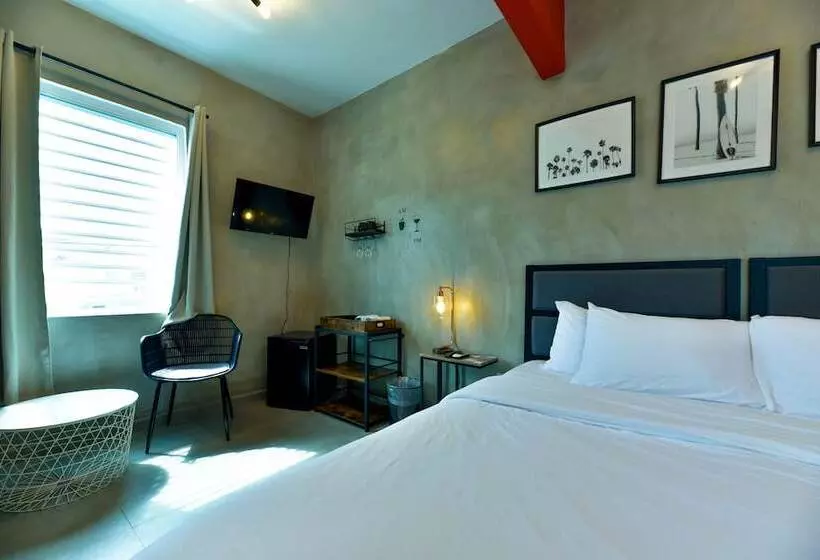 هتل The Surfing Turtle