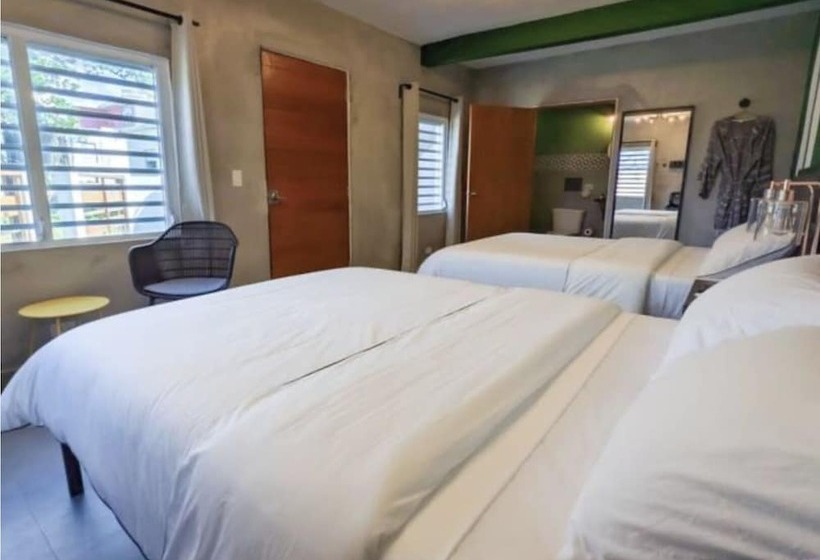 هتل The Surfing Turtle