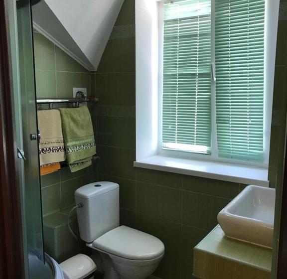 פנסיון горького 93