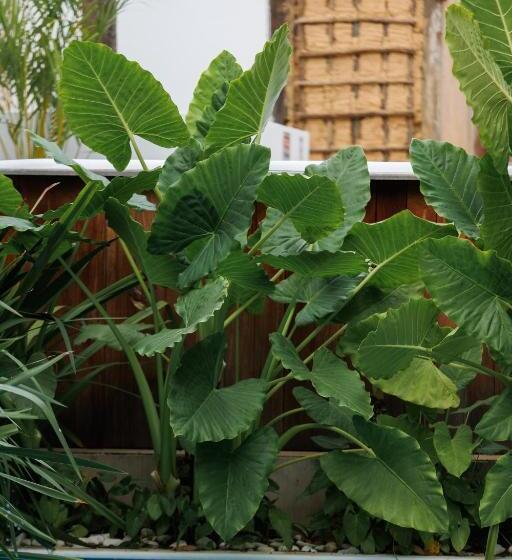 Pension Pousada Bem Te Vi Trancoso