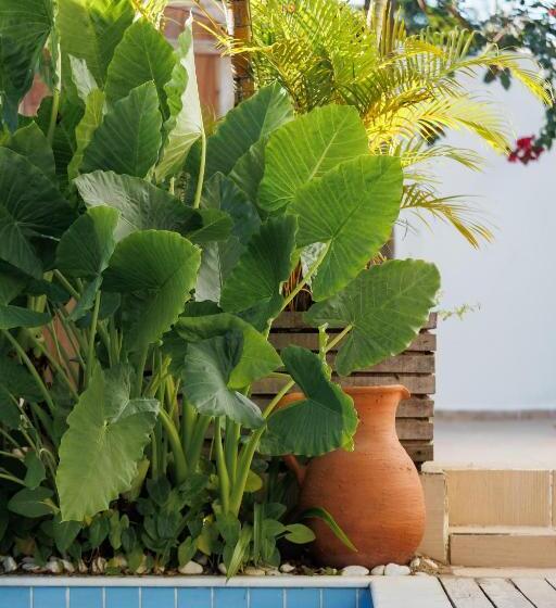 Pension Pousada Bem Te Vi Trancoso