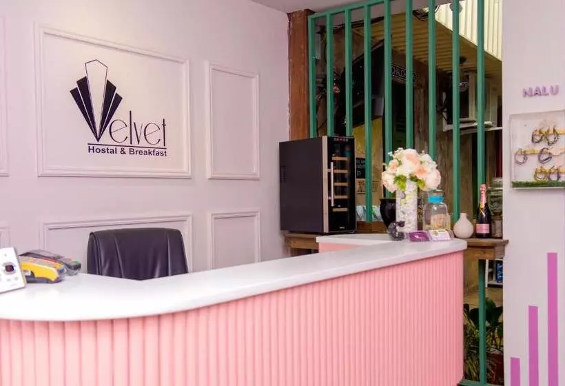 پانسیون Velvet Hostal La Novena