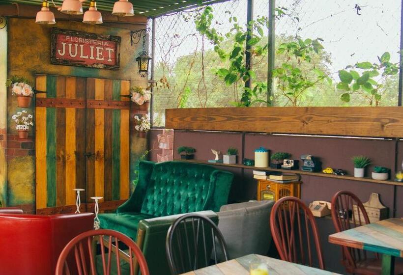 پانسیون Velvet Hostal La Novena