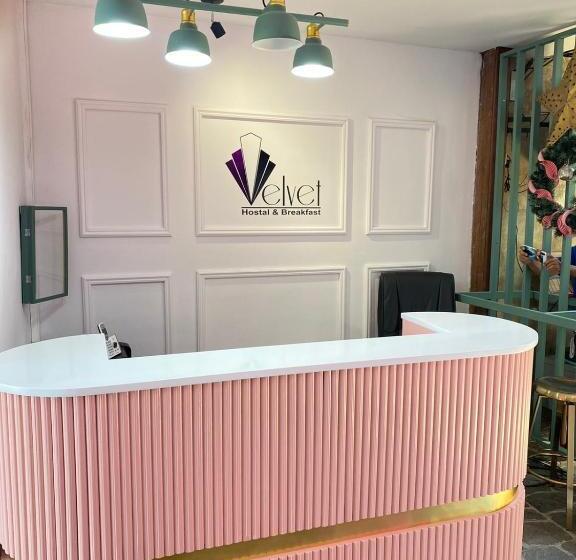 پانسیون Velvet Hostal La Novena