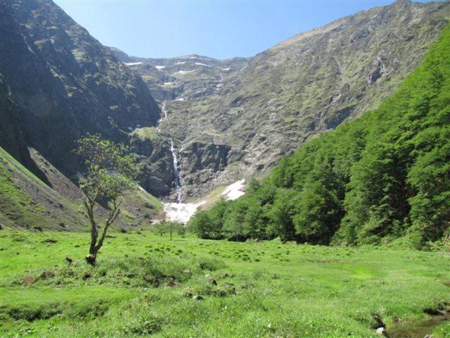 فندق صغير Auberge Les Myrtilles