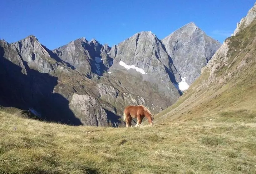 Auberge Les Myrtilles
