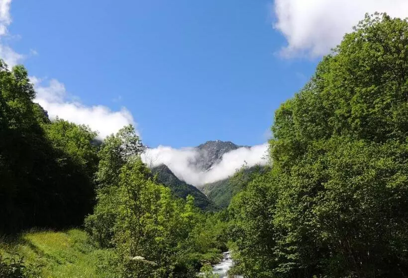 Auberge Les Myrtilles