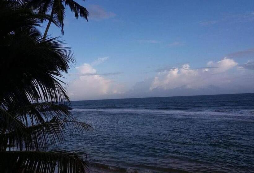 مبيت وإفطار Jasmine White House Restaurant & Spa