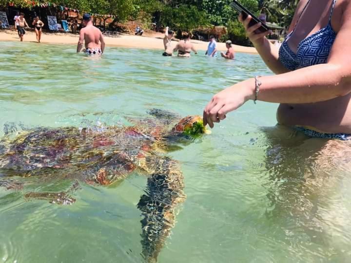 مبيت وإفطار Jasmine White House Restaurant & Spa