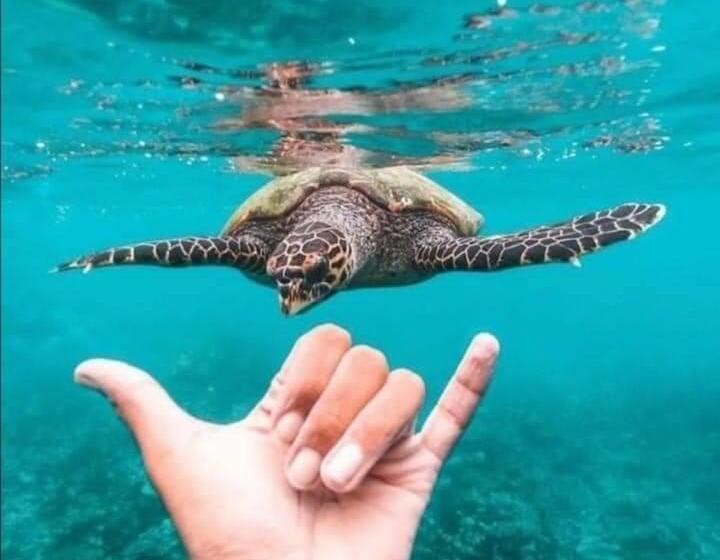 مبيت وإفطار Jasmine White House Restaurant & Spa