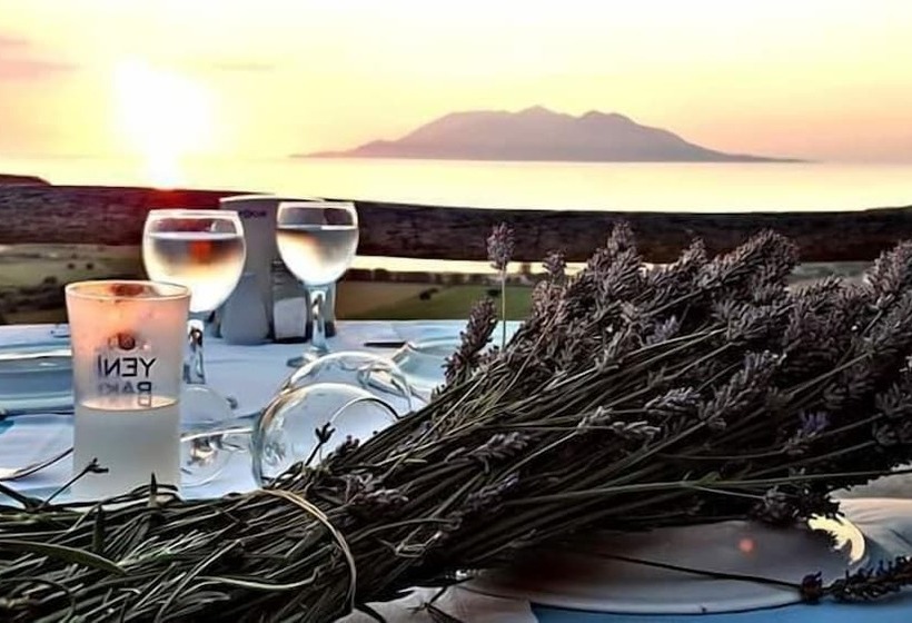 פנסיון Dimitri Ada Evi & Restaurant