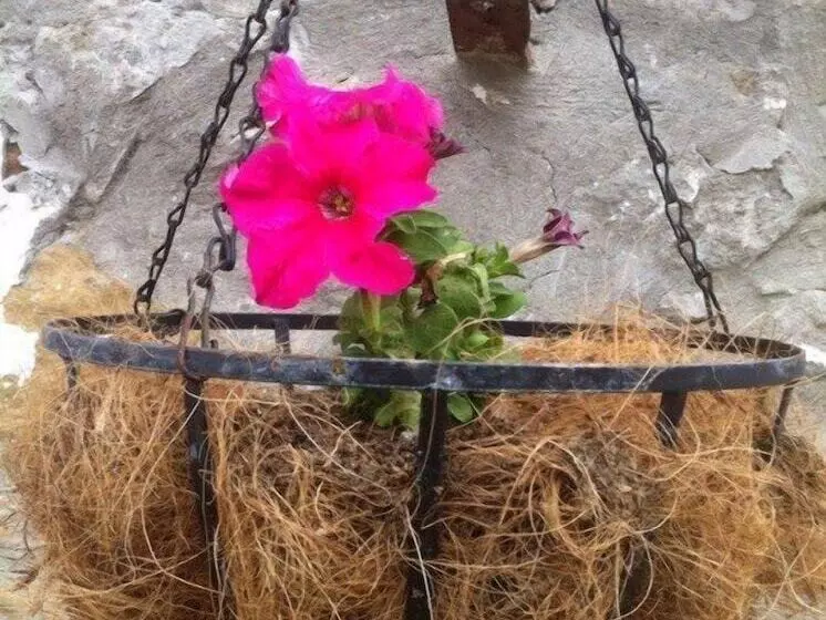 Majatalo Dimitri Ada Evi & Restaurant