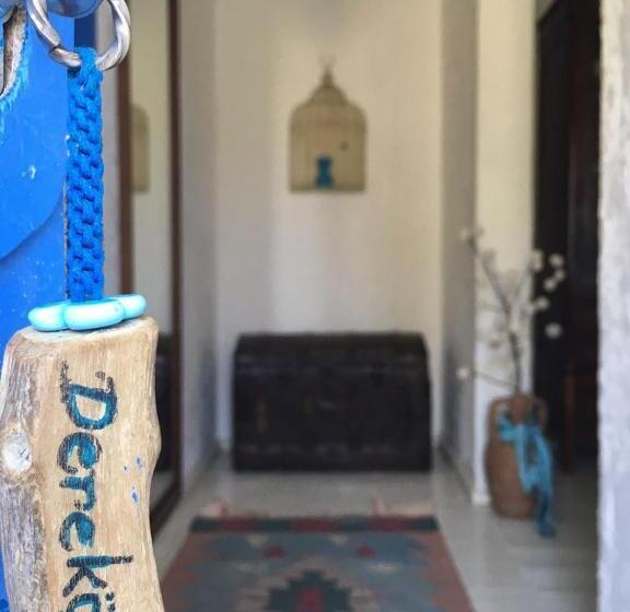 פנסיון Dimitri Ada Evi & Restaurant