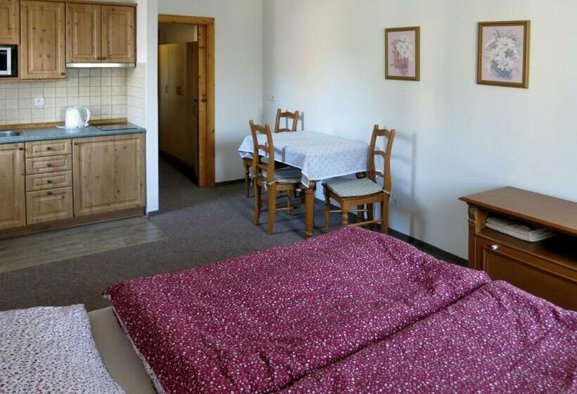 Pensjonat Selský Dvůr 2