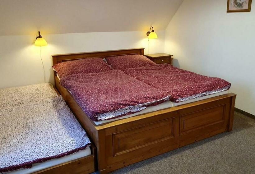 Pensjonat Selský Dvůr 2