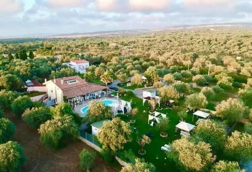 ペンション Villa Di L Abbiu House