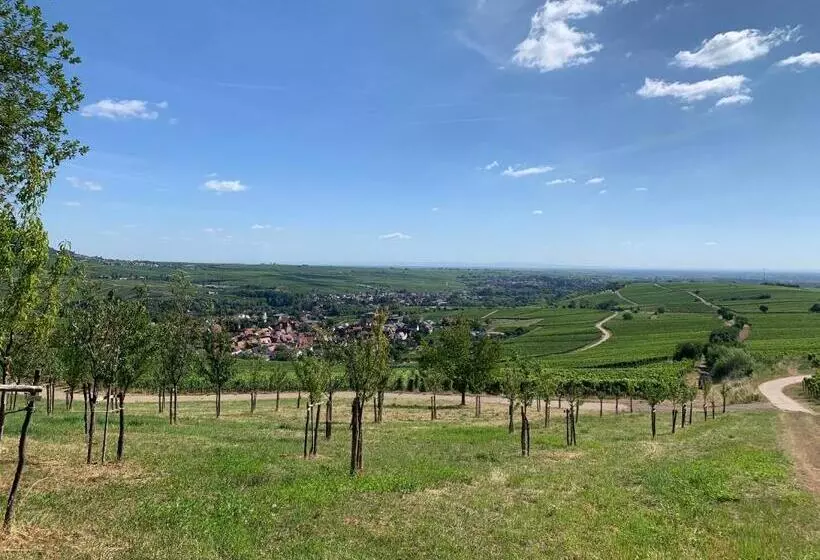 Hotelli Schockes Laurentiushof