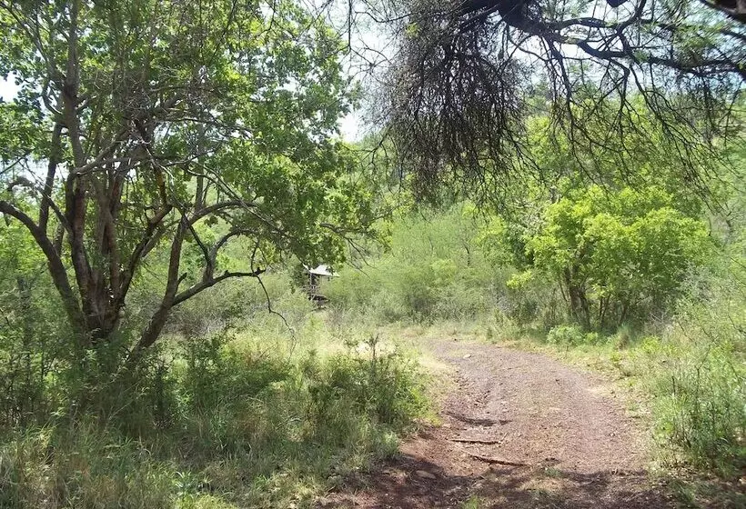 ホテル Thabankwe Bushveld Inn