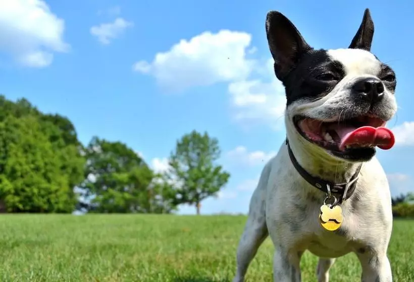 هتل Aloft Montreal Airport