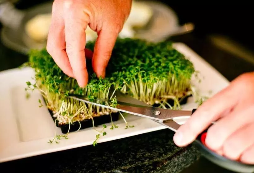 Отель Birkenhof Am See