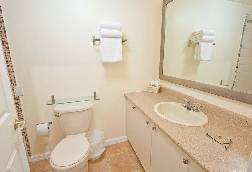 فندق Byward Blue Inn