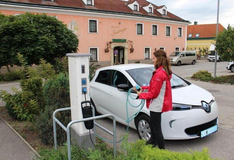 Отель Das Steinberger