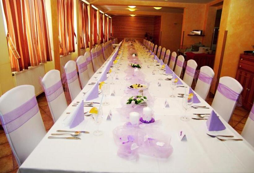 בית מלון כפרי Helena