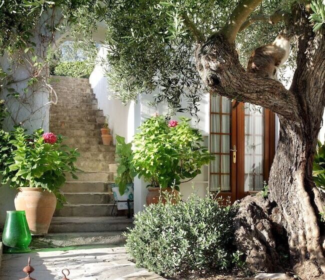 فندق ريفى La Almunia Del Valle