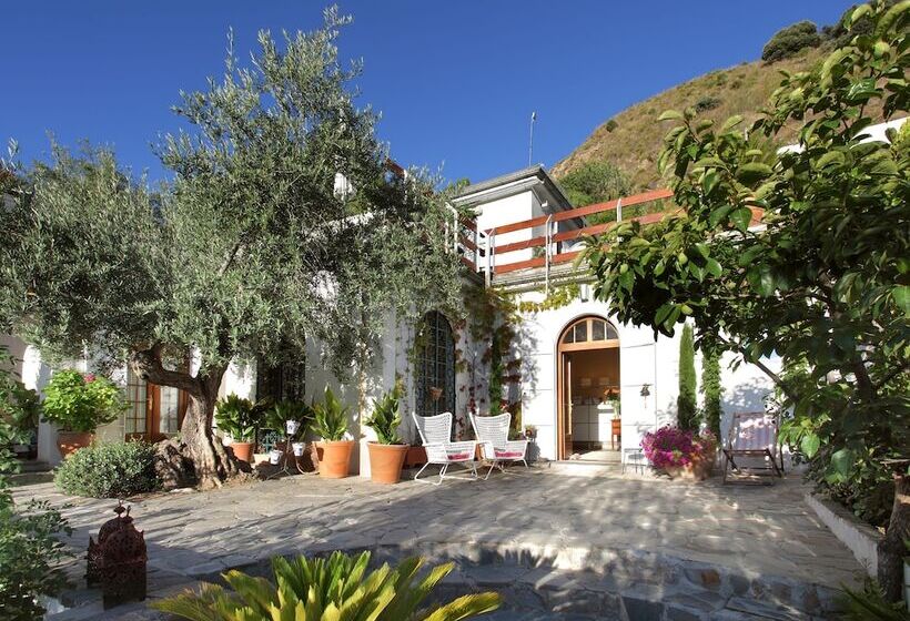 فندق ريفى La Almunia Del Valle