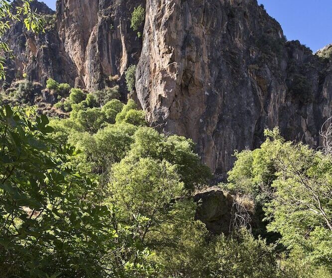 فندق ريفى La Almunia Del Valle