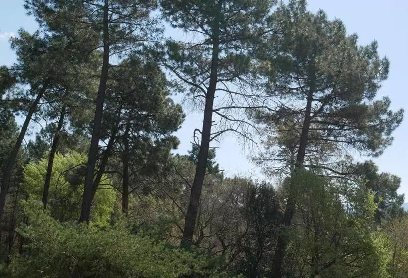 ホテル La Petite Auberge De Roussillon