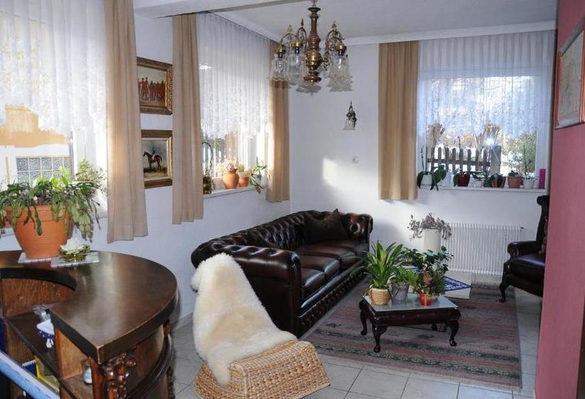 酒店 Pension Elisabeth