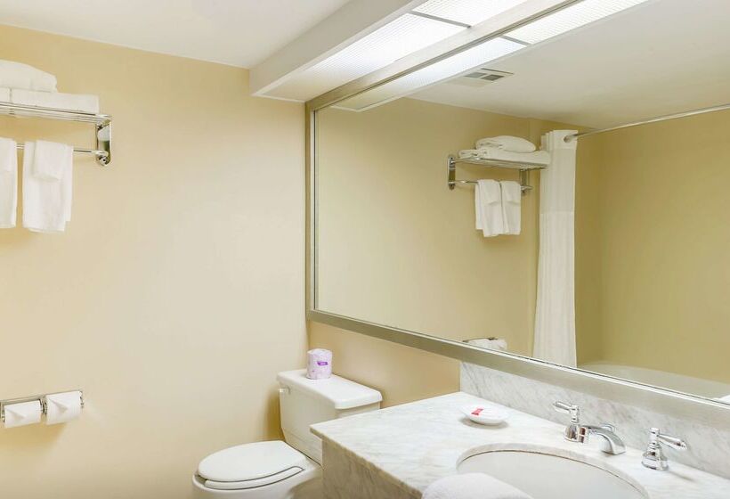 Отель Ramada By Wyndham Niagara Falls By The River