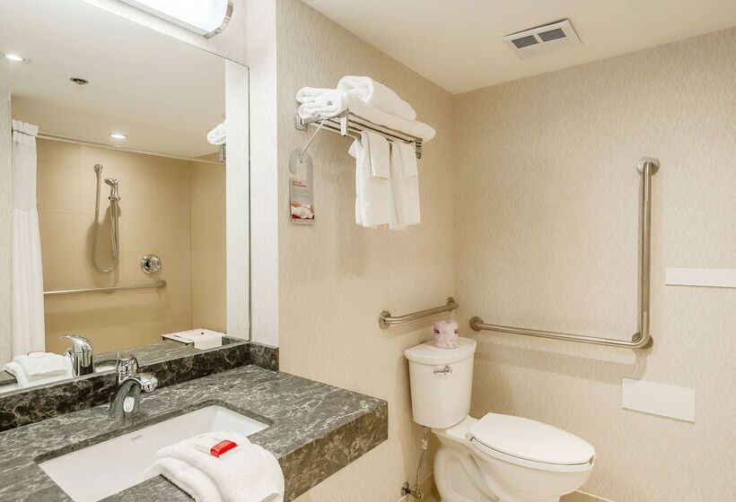 Отель Ramada By Wyndham Niagara Falls By The River