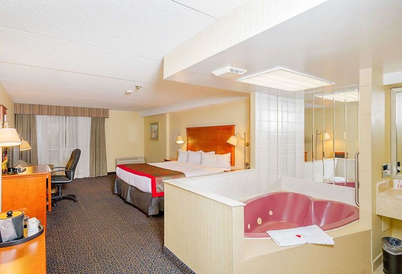 Отель Ramada By Wyndham Niagara Falls By The River