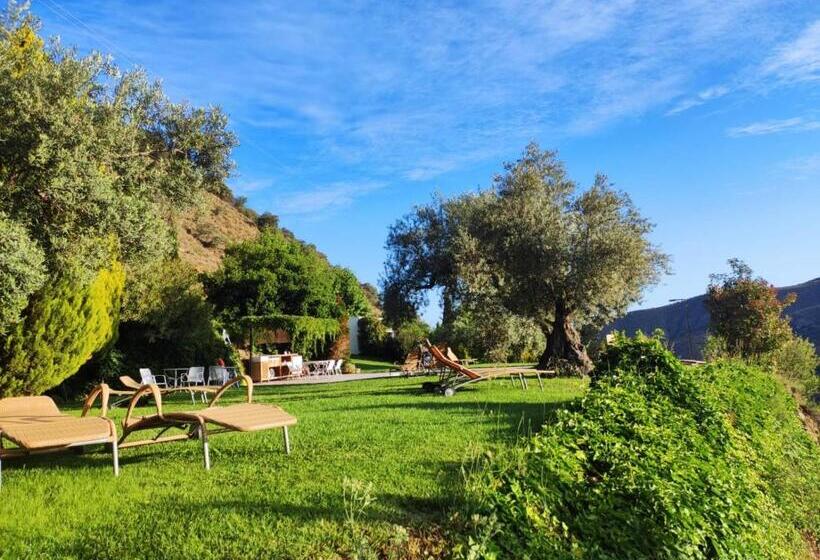 فندق ريفى La Almunia Del Valle