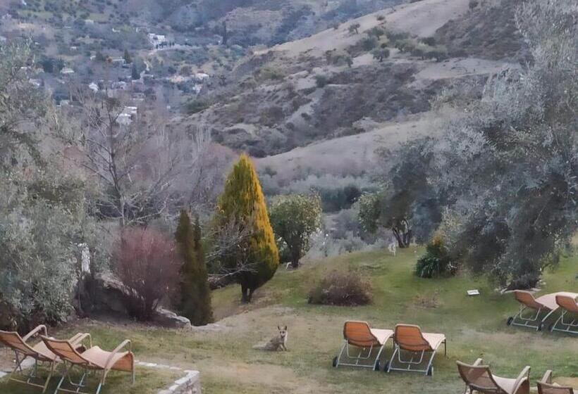 فندق ريفى La Almunia Del Valle