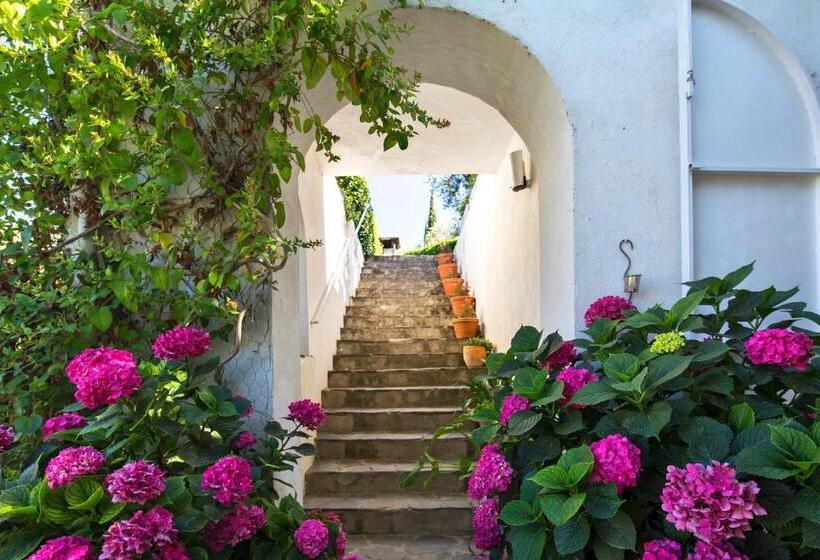 فندق ريفى La Almunia Del Valle