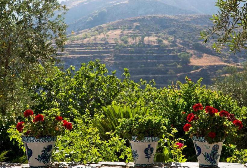 فندق ريفى La Almunia Del Valle